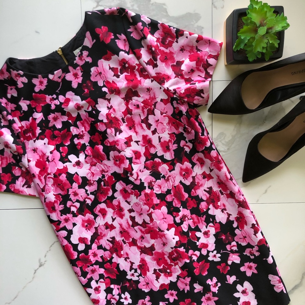 Eliza J. Black & Pink Floral Shift Dress